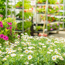 Garden Center End Of Season Sale - 20% off or more!