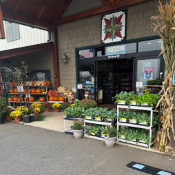 Fall is Here!