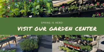 Spring Is Here