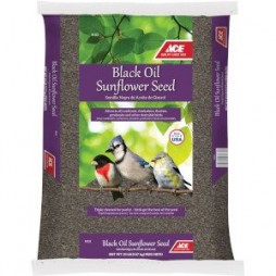 20lb Songbird Sunflower Seed