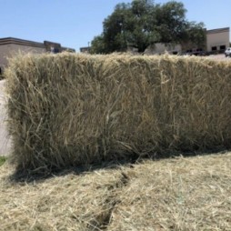 Hay and Straw Rental