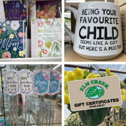 Mother's Day Gifts