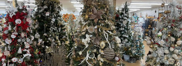 Welcome to Elm Creek