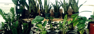 Welcome to Elm Creek