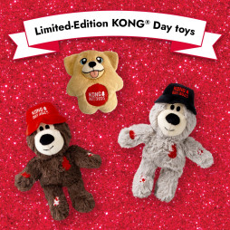 Kong Day 2025