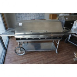 Grill - Propane 22 inchx47 inch