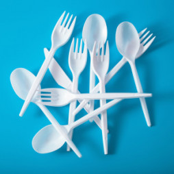 Plastic Party Utensils