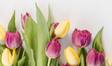 DIY Porch Planter Box for Mother's Day