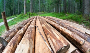 Rising lumber prices can stunt housing market growth
