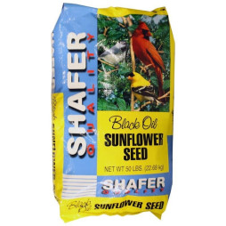 Black Oil Sunflower Wild Bird Food 50 lb