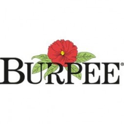 Burpee Seed Packets