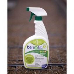 BenEfit Step 1 - Start