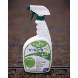 benEfit Step 2- Grow