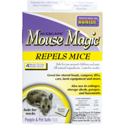 Mouse Magic