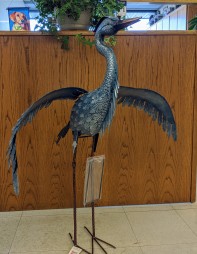 Metallic Blue Heron-Wings Out