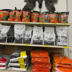 Food Plot Seed Options
