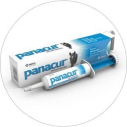 Panacur® (fenbendazole) Paste 10% (100 mg/g)