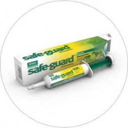 Safe-Guard® (fenbendazole) Paste 10% (100mg/ g)