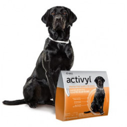 Activyl® Protector Band for Dogs