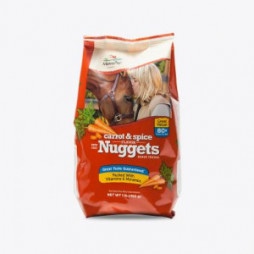 Manna Pro® Bite-Size Nuggets - Carrot & Spice Flavor, 4-lb