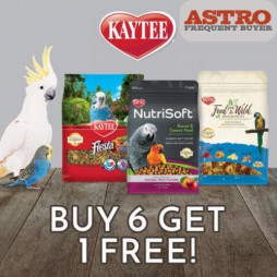 Kaytee Products Inc. | OFFICIAL BIRD SEED Frequent Buyer Program - Buy 6, Get 1 FREE