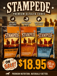 Stock Up & Save!