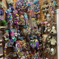 Bird Toys & Accessories