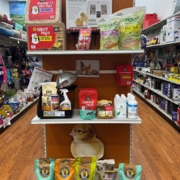 Poultry Supplies & Chick Care