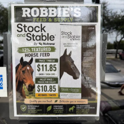 Horse Feed & Nutrition