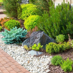 Landscape Design and Installation (By Appointment)