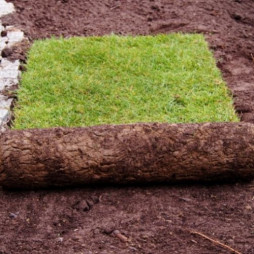 Sod Pieces & Plugs (Call for availability)