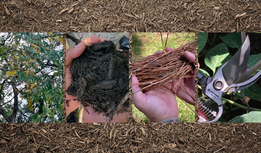 MRT Venice FL, MRT Landscaping FL, Garden Center Venice fl MRT Lawn