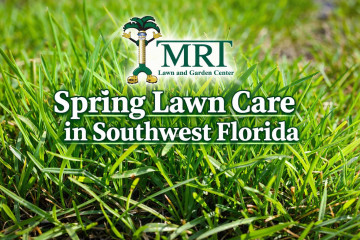 Springtime Lawn Fertilizing