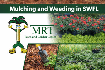 Mulch and Weeding for Spring in SWFL