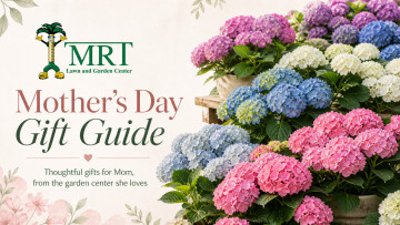 Mother’s Day Gifts That Look Thoughtful Because They Actually Are