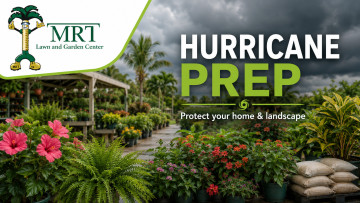 Hurricane Prep for your Yard