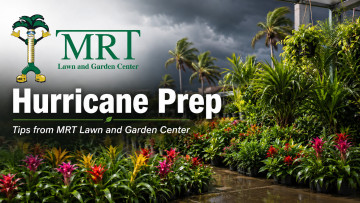 Hurricane Prep for Your Home, Your Family, and Your Sanity