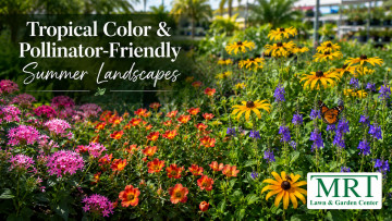 Tropical Color & Pollinator-Friendly Summer Landscapes