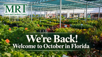 We’re Back! Summer Projects, Fall Weather & Getting Your Yard Ready for October