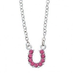 Pink Horseshoe Necklace