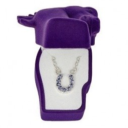 Purple Horseshoe Necklace