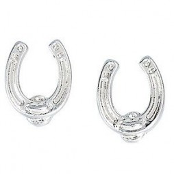 Horseshoe Earrings