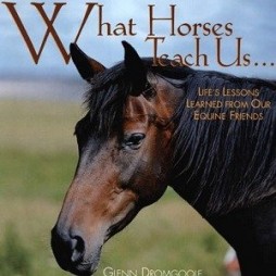 What Horses Teach Us Hardcover Book