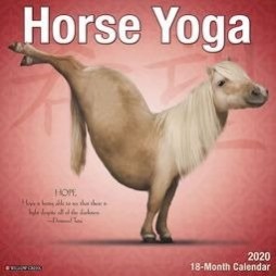 Horse Yoga 2020 Wall Calendar