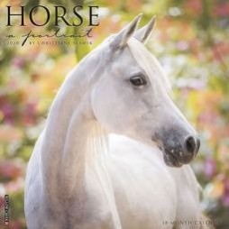 Horse: A Portrait 2020 Wall Calendar