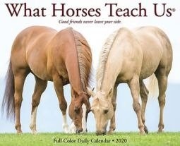 What Horses Teach Us Daily Desk Calendar