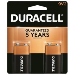 Alkaline 9V Battery 2pk