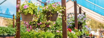 Spring has sprung our Garden Centers are open!