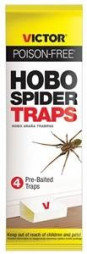 Hobo Spider Trap