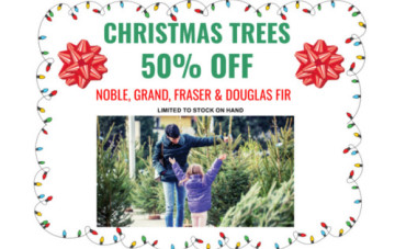 Christmas Savings Start Now!